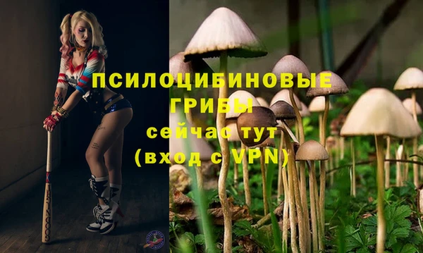 mdpv Алзамай