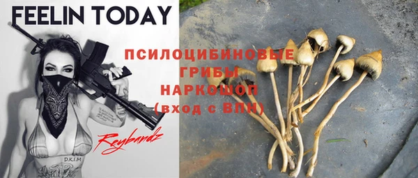 ГАЛЛЮЦИНОГЕННЫЕ ГРИБЫ Алексеевка