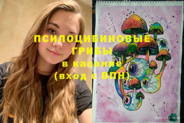 ГАЛЛЮЦИНОГЕННЫЕ ГРИБЫ Алексеевка