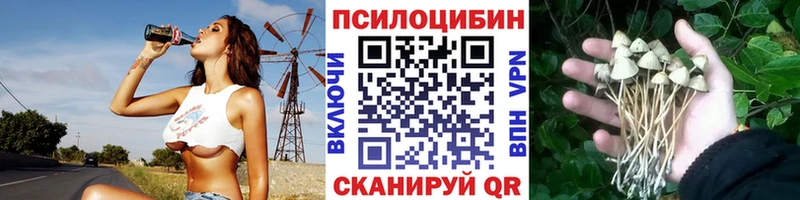 закладки  Духовщина  Галлюциногенные грибы Psilocybine cubensis 